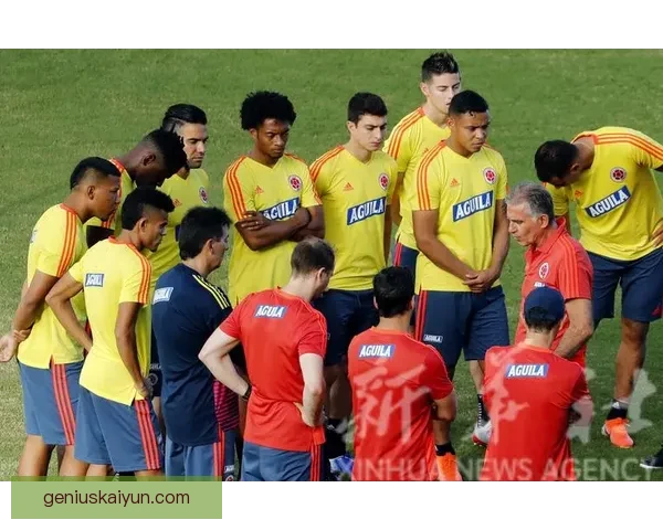 哥伦比亚队整体实力分析：近期表现稳健，具备强劲竞争力